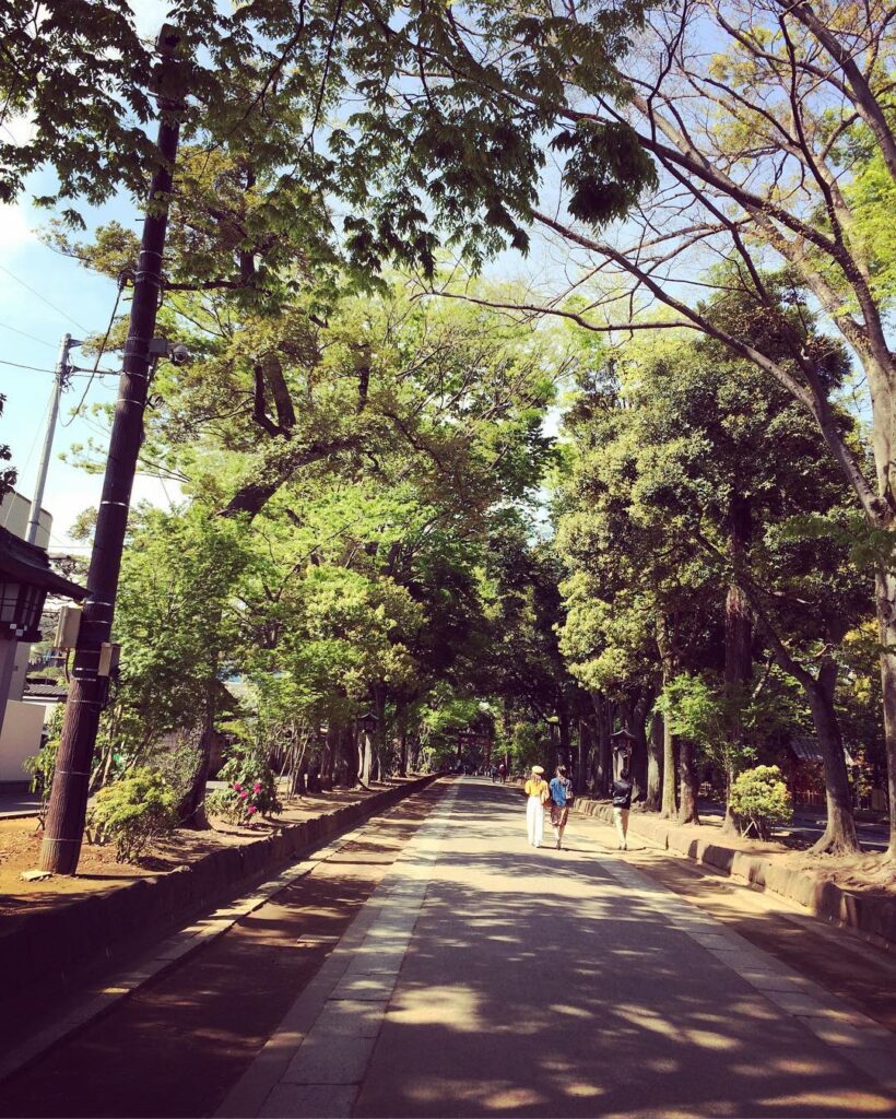 今日の氷川神社 #大宮 #大宮公園 #氷川神社