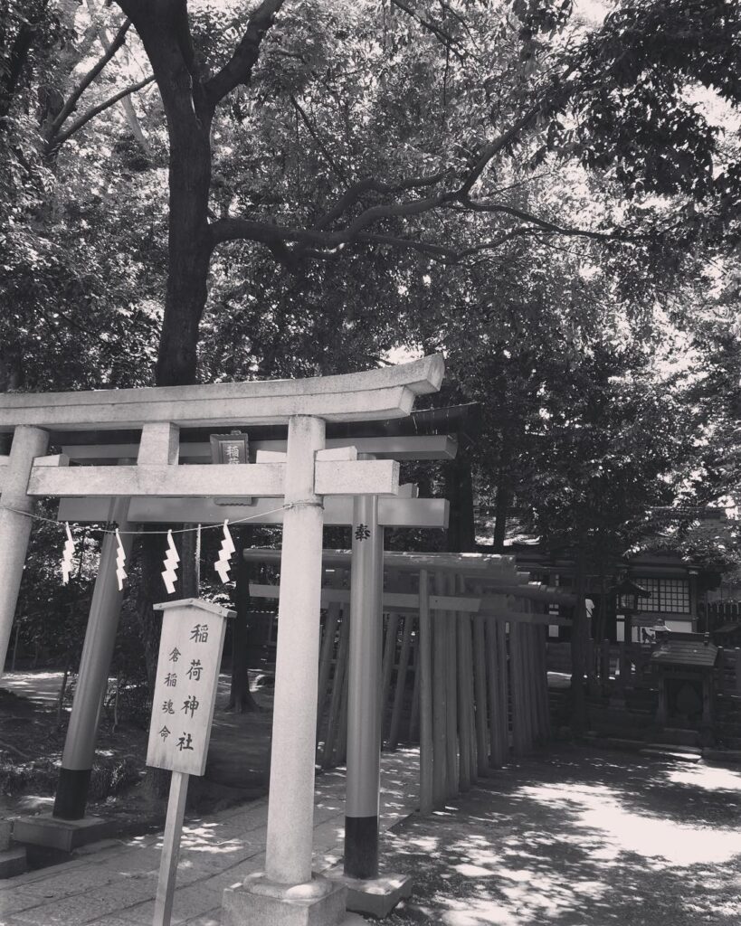 今日の氷川神社 #大宮 #氷川 #神社 #参拝 #夏日