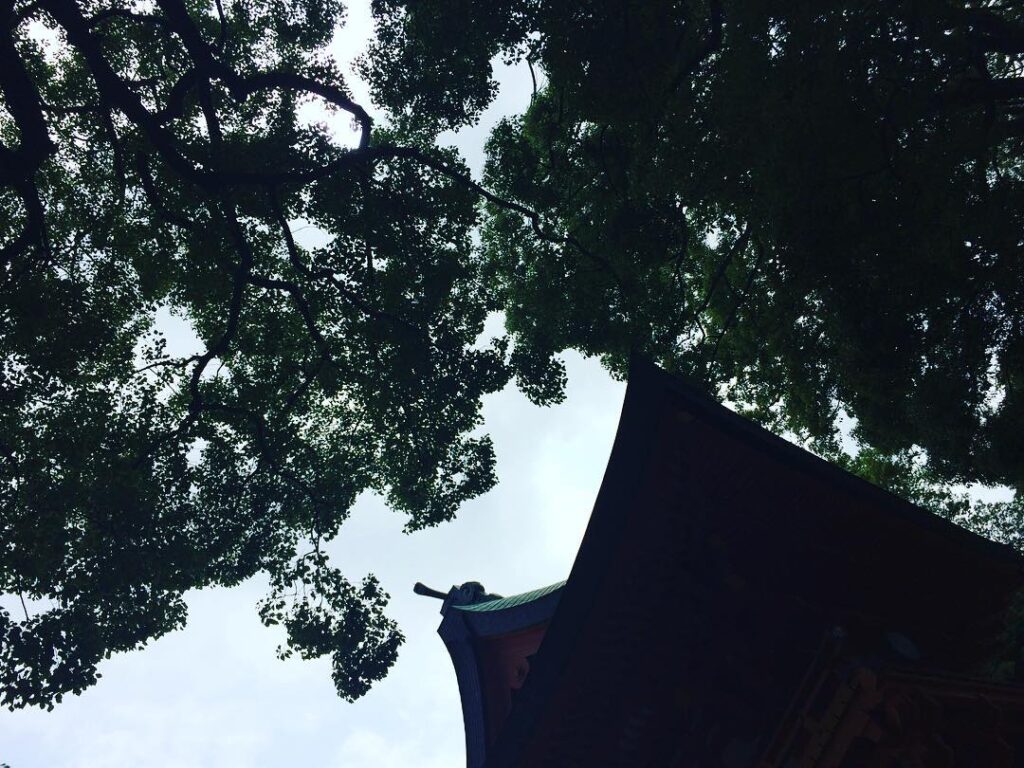 今日の参拝 #氷川神社 #大宮 #過ごしやすい #曇り #ゼクシス #ジム帰り #上尾 #ヨガ