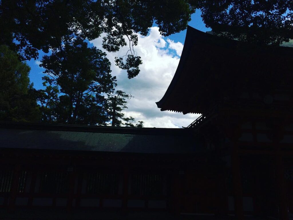 今日の蝉 #大宮 #氷川神社 #汗だく#参拝 #暑すぎ