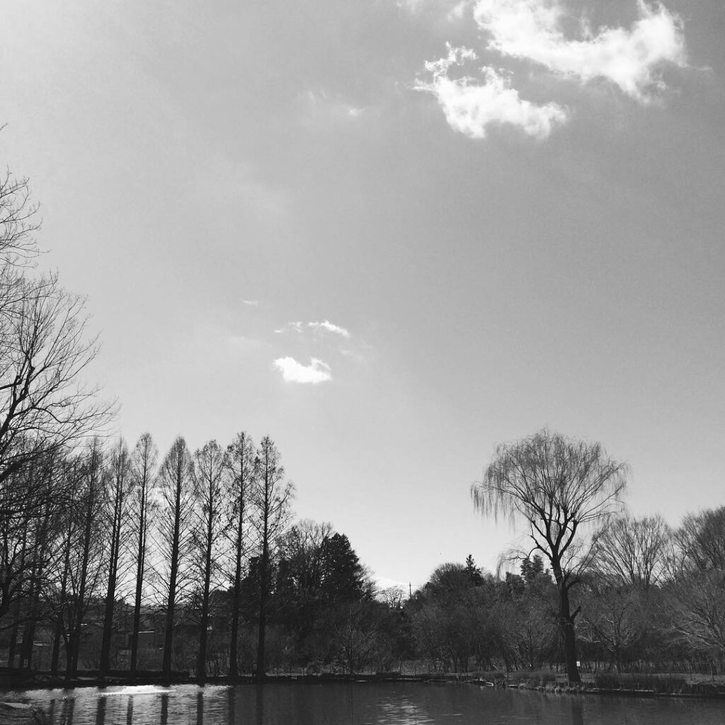 今日の読書 #ポタリング #丸山公園 #水の音 #風の音 #日の光 #ひなたぼっこ #のんび…
